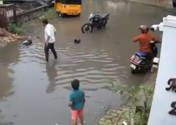 சிறுவனை உயிருடன் காப்பாற்றிய இளைஞருக்கு பாராட்டு விழா!