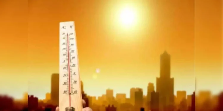 “நான் திரும்ப வந்துட்டேன்னு சொல்லு” – அக்னி நட்சத்திரம்