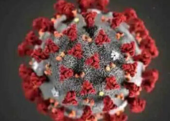 கொரோனா தாக்கம் மீண்டும் ஆரம்பம்