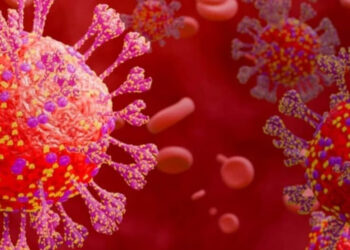 பெங்களூரு : 84 வயது முதியவர் கொரோனாவால் மரணம் – கர்நாடக சுகாதாரத் துறை தகவல் !