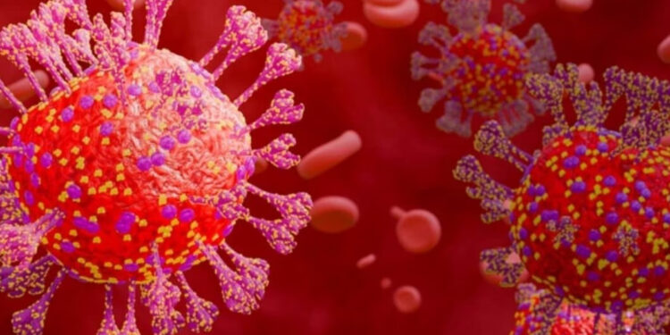 பெங்களூரு : 84 வயது முதியவர் கொரோனாவால் மரணம் – கர்நாடக சுகாதாரத் துறை தகவல் !