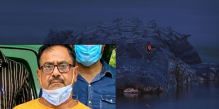 50 கொடூர கொலைகள்… மீண்டும் பிடிபட்ட “Dr. Death” — பின்னணி அதிர்ச்சி தருகிறது !