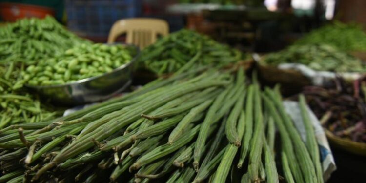 சென்னையில் முருங்கைக்காய் விலை 50% குறைவு