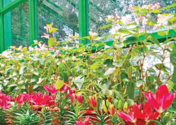 மலர் கண்காட்சியில் அழகு தோட்ட போட்டி : கலந்து கொள்ள அழைப்பு