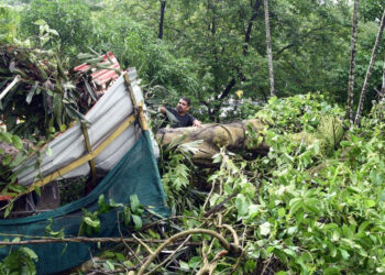 கேரளாவில் கனமழையால் 7 பேர் பலி : முழு கொள்ளளவை எட்டிய 4 அணைகள் திறப்பு