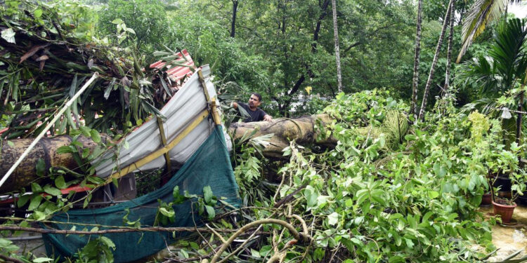 கேரளாவில் கனமழையால் 7 பேர் பலி : முழு கொள்ளளவை எட்டிய 4 அணைகள் திறப்பு