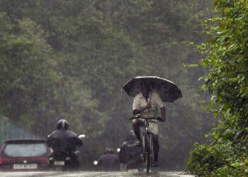 கேரளாவில் தொடரும் கனமழை ; 12 மாவட்டங்களுக்கு மஞ்சள் அலர்ட்