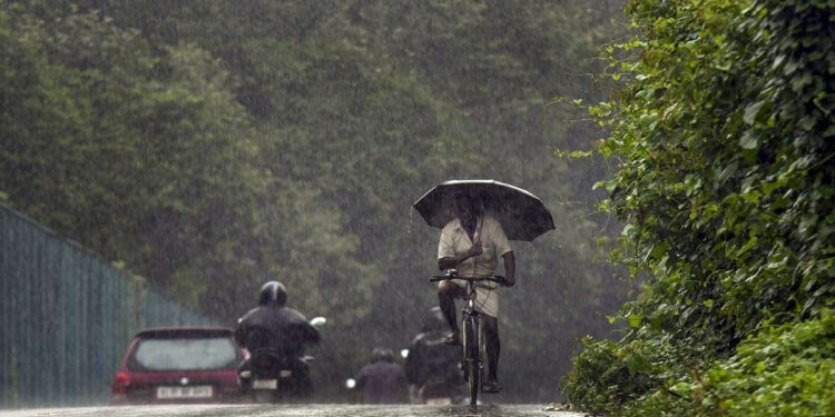 கேரளாவில் தொடரும் கனமழை ; 12 மாவட்டங்களுக்கு மஞ்சள் அலர்ட்