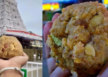 திருப்பதி லட்டில் இத்தனை வகை இருக்கு.. உங்களுக்கு தெரியுமா?