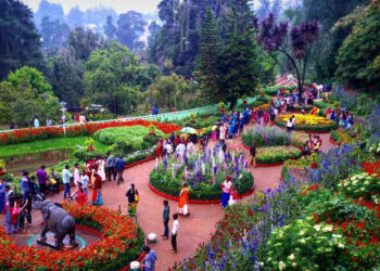 மலர் கண்காட்சி எந்த தேதி தெரியுமா..?