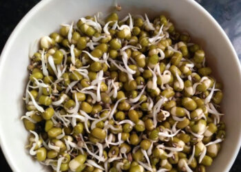 முளைக்கட்டிய பயிர்கள் உண்ணும் பழக்கம்.. நல்லதா ? கெட்டதா… ?