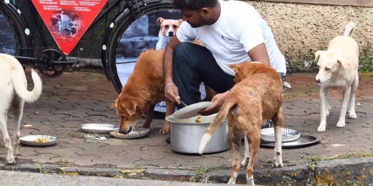 நாய்களுக்கு உணவளிப்பது நல்லதா ? ஜோதிடம் சொல்வது என்ன ?