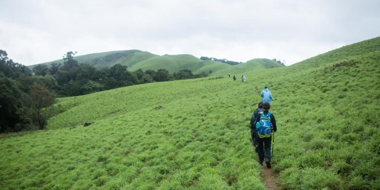 40 இடங்களில் இனி டிரெக்கிங் போகலாம் தெரியுமா?