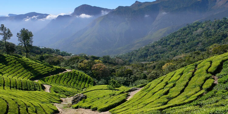 குளுகுளு சீசன் துவங்கியதால் சுற்றுலா பயணியர் மகிழ்ச்சி