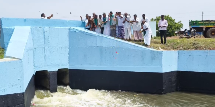 திருக்குவளை அடுத்த ஏர்வைக்காடு  கதவணை பகுதிக்கு வந்து சேர்ந்த காவிரி நீரை நெல் மணிகள் பூக்கள் தூவி உற்சாகமாக வரவேற்ற விவசாயிகள்