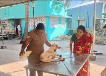 அடிப்பட்ட நாய்… அந்த மனசு தான் சார் கடவுள்..!