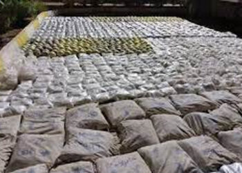 இலங்கைக்கு கடத்த முயன்ற 173 கிலோ கஞ்சா பறிமுதல்