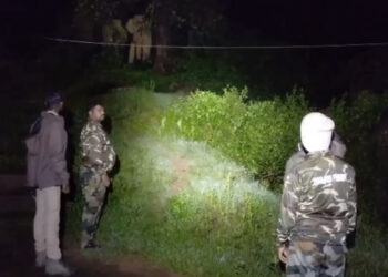 இரவில் உலா வந்த மொட்டைவால் காட்டு யானை.!