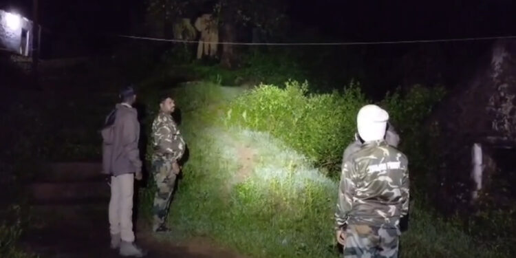 இரவில் உலா வந்த மொட்டைவால் காட்டு யானை.!