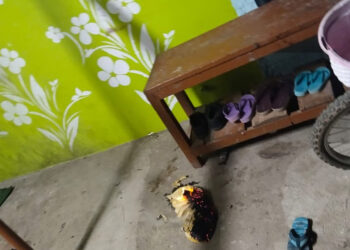 சென்னை : ஒரே வாரத்தில் இரண்டாவது முறையாக பெட்ரோல் குண்டு வீச்சு அச்சத்தில் பொதுமக்கள்