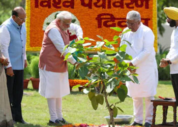 டில்லி இல்லத்தில் ‘சிந்தூர்’ மரக்கன்றை நட்ட பிரதமர் மோடி : இணையத்தில் வீடியோ வைரல் !