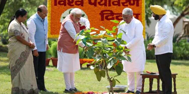 டில்லி இல்லத்தில் ‘சிந்தூர்’ மரக்கன்றை நட்ட பிரதமர் மோடி : இணையத்தில் வீடியோ வைரல் !