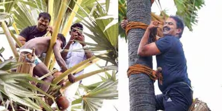 பனைமரம் ஒரு ஜாதியின் மரமா ? – சீமான் ஆவேச கேள்வி