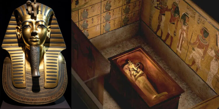 எகிப்து மன்னரின் கல்லறையில் இருந்து புற்றுநோய்க்கு மருந்து கண்டுபிடிப்பு : வரலாற்று மாறும் கண்டுபிடிப்பு !