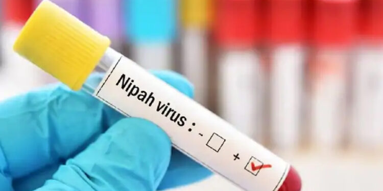 கேரளாவில் மீண்டும் நிபா வைரஸ் அலாரம் : 3 மாவட்டங்களுக்கு எச்சரிக்கை :