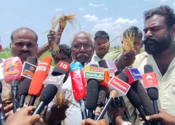 சீர்காழி அருகே தண்ணீரின்றி காயும் 100 ஏக்கர் குறுவை பயிர்கள். வயலில் இறங்கி விவசாயிகள் திடீர் போராட்டம்