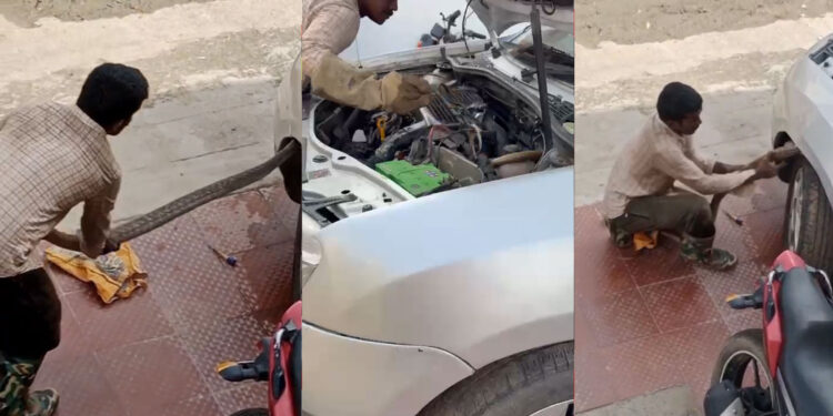 காருக்குள் உஷ்… உஷ்… சத்தம்..! இழுத்த 10 அடி