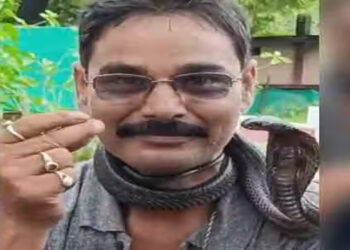 கொடிய விஷமுடைய பாம்புடன் ரீல்ஸ்… பாம்புபிடி வீரருக்கு நேர்ந்த சோகம்