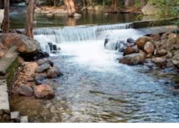 பராமரிப்பு பணிகள் காரணமாக களக்காடு தலையணை தற்காலிகமாக மூடல்: சுற்றுலாப் பயணிகளுக்கு அனுமதி மறுப்பு