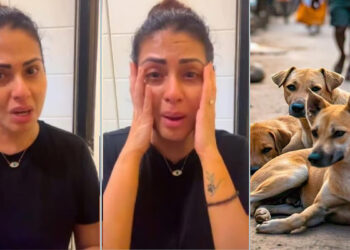 “ப்ளீஸ் இப்படி பண்ணாதீங்க… இந்த நாடு வெட்கப்பட வேண்டும்” – நடிகை சதா உணர்ச்சி வசப்பட்டு அழுது பேச்சு