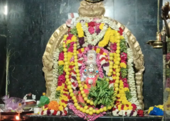 தரங்கம்பாடி பொன்செய் கிராமத்தில் உள்ள ஆலடி மாரியம்மன் கோவில் தீமிதி திருவிழா