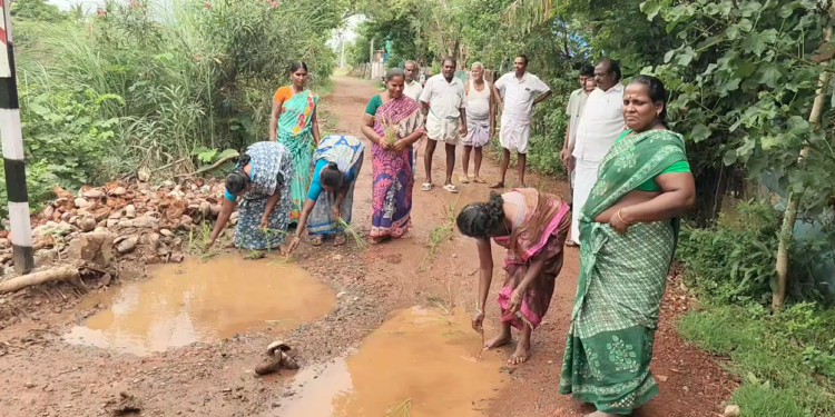 நுகர்பொருள் வாணிபக் கழக கிடங்கிற்கு செல்லும் லாரிகளால் சேதமடைந்த சாலை, நாற்றுகளை நட்டு பொதுமக்கள் போராட்டம்