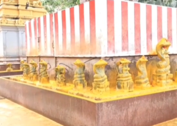 நாகராஜா கோவிலில் கும்பாபிஷேகம் நடத்துவது தொடர்பாக கேரளா நம்பூதிரி&புரோகிதர்கள்,பூஜாரிகள் தலைமையில் தேவப்பிரசன்ன நிகழ்ச்சி