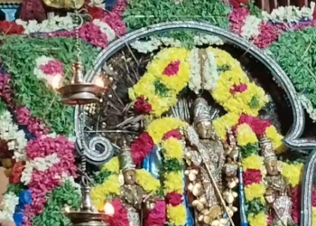 தருமபுரம் ஆதீன மடாதிபதி முன்னிலையில் சிறப்பு அபிஷேக ஆராதனை