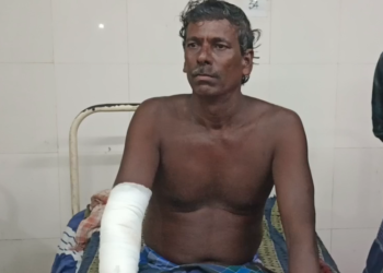 கொள்ளிடம் ஆற்றில் மீன்பிடித்த உள்நாட்டு மீன்பிடித் தொழிலாளி முதலை கடித்து படுகாயம்