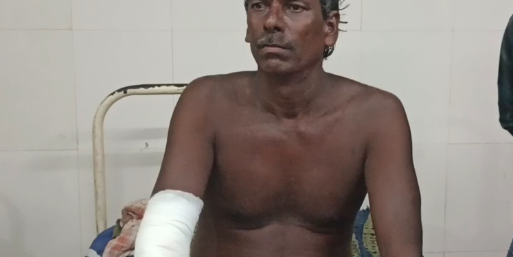 கொள்ளிடம் ஆற்றில் மீன்பிடித்த உள்நாட்டு மீன்பிடித் தொழிலாளி முதலை கடித்து படுகாயம்