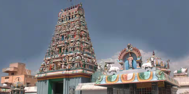 அருள்மிகு நாகேஸ்வர சுவாமி திருக்கோயில்