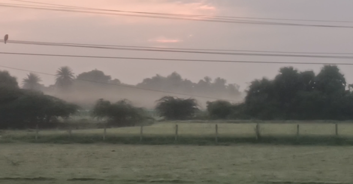 செங்கல்பட்டு சுற்று வட்டார பகுதியில் லேசான பனிமூட்டம்