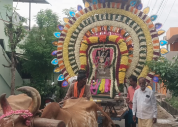 செங்கல்பட்டு மாவட்டத்தில் விநாயகர் சதுர்த்தி கோலாகலம் பக்தர்கள் வழிபாடு