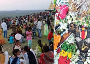 ஆந்திரா கோவிலில் தேள் மாலை அணிவித்து வினோத வழிபாடு!