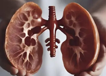 கிட்னி சர்ச்சைக்குப் பின் கல்லீரல் விற்பனை அதிர்ச்சி