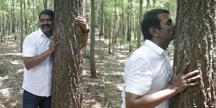 மரங்களுக்கு முத்தம் கொடுத்து மாநாட்டை அறிவித்தார் சீமான்!