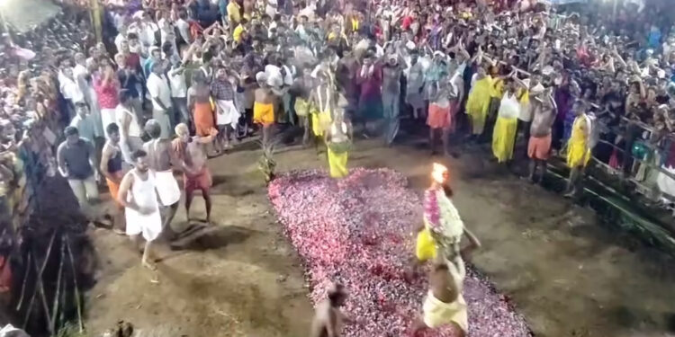 திரௌபதி அம்மன் கோவில் திருவிழா… காளி ஆட்டம் ஆடி வீதி உலா வந்த பக்தர்கள்…