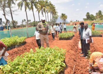 குஜிலியம்பாறை வட்டாரத்தில் வளர்ச்சித் திட்டப் பணிகள்: மாவட்ட ஆட்சியர் நேரில் ஆய்வு