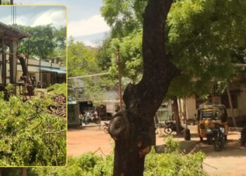 வத்தலக்குண்டு அரசு மருத்துவமனையில் வேப்பமரங்கள் அகற்றம்: மக்களின் ஆரோக்கிய இயக்கத்தினர் கண்டனம்!