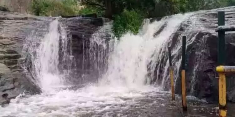 தேனி மாவட்டத்தில் பெருக்கெடுத்து ஓடும் கும்பக்கரை அருவி: சுற்றுலாப் பயணிகளுக்குத் தடை